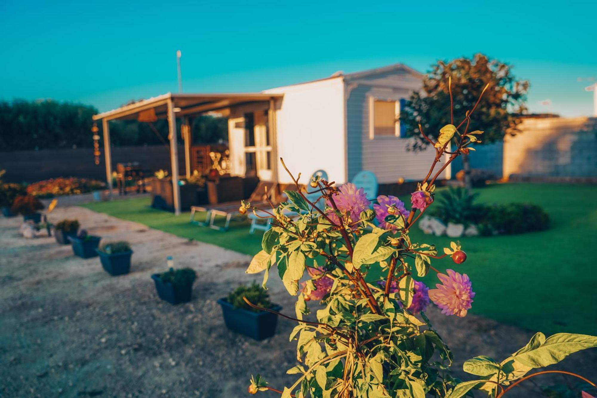 Villa Palmaradise El Palmar  Esterno foto